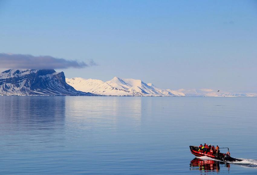 Zodiac Wildlife Exploration Svalbard