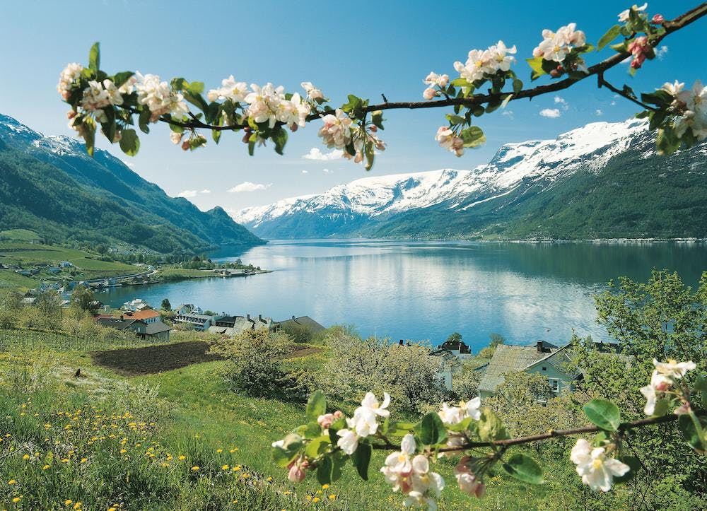 View over Hardangerfjorden