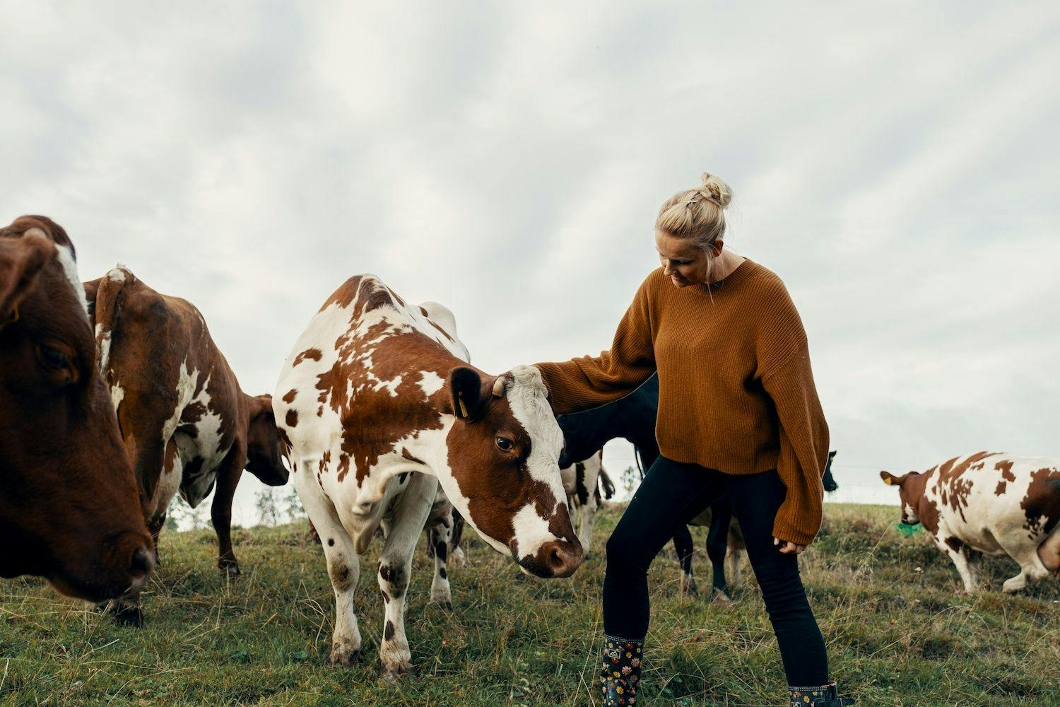 Women with healthy cows