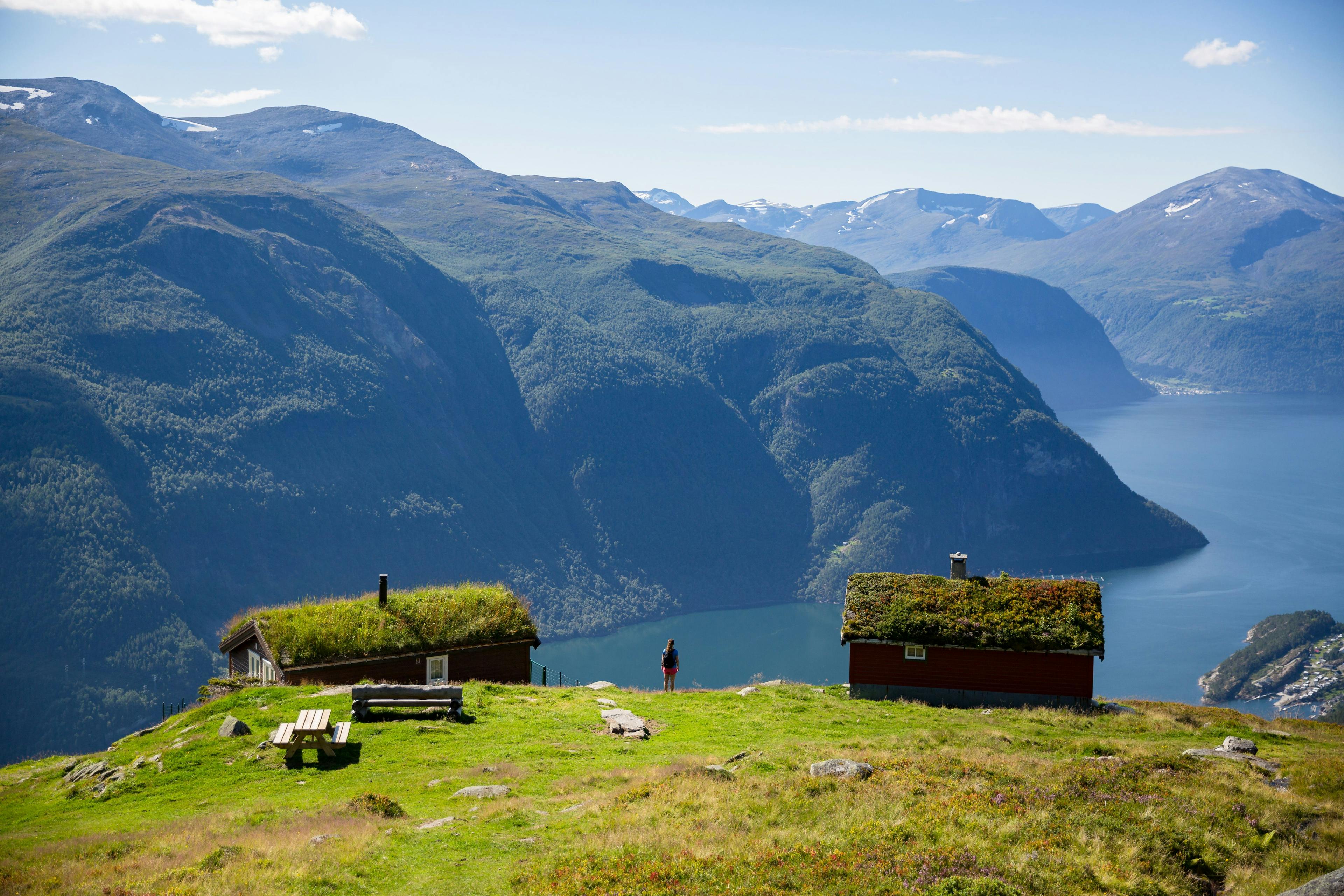 Log cabin with fjordview at Mefjellet 
