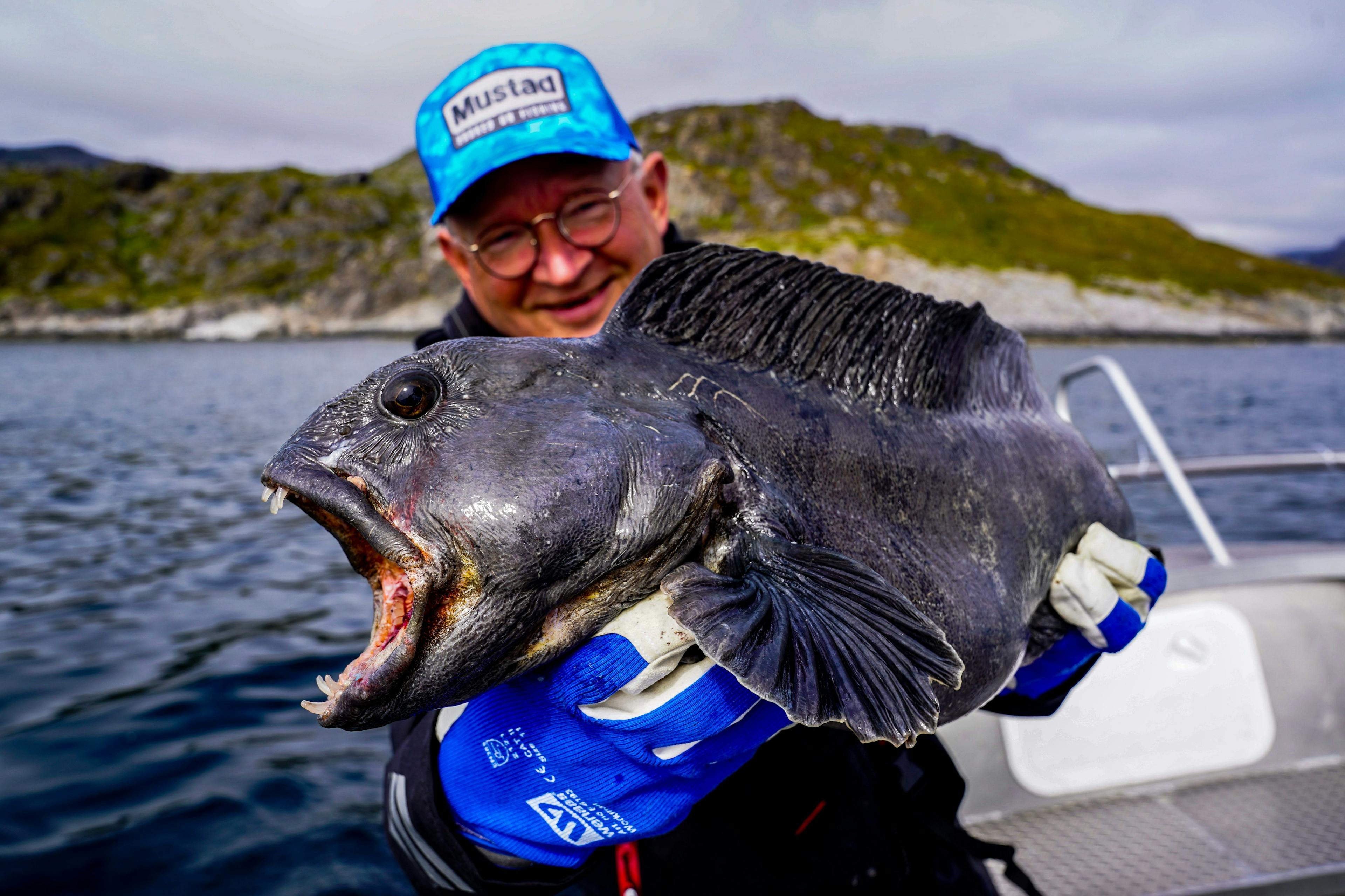 Cast your net wide! - Up Norway